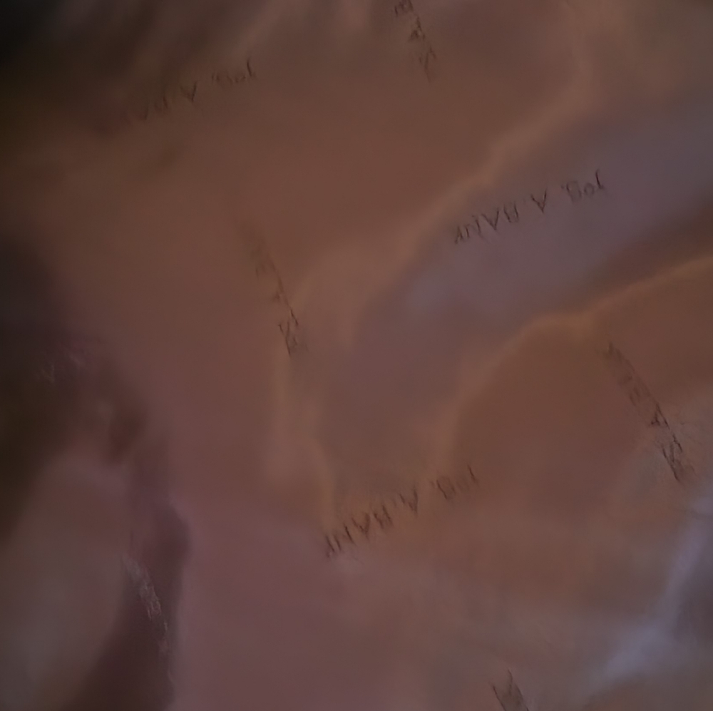 Leather Jacket - image 5